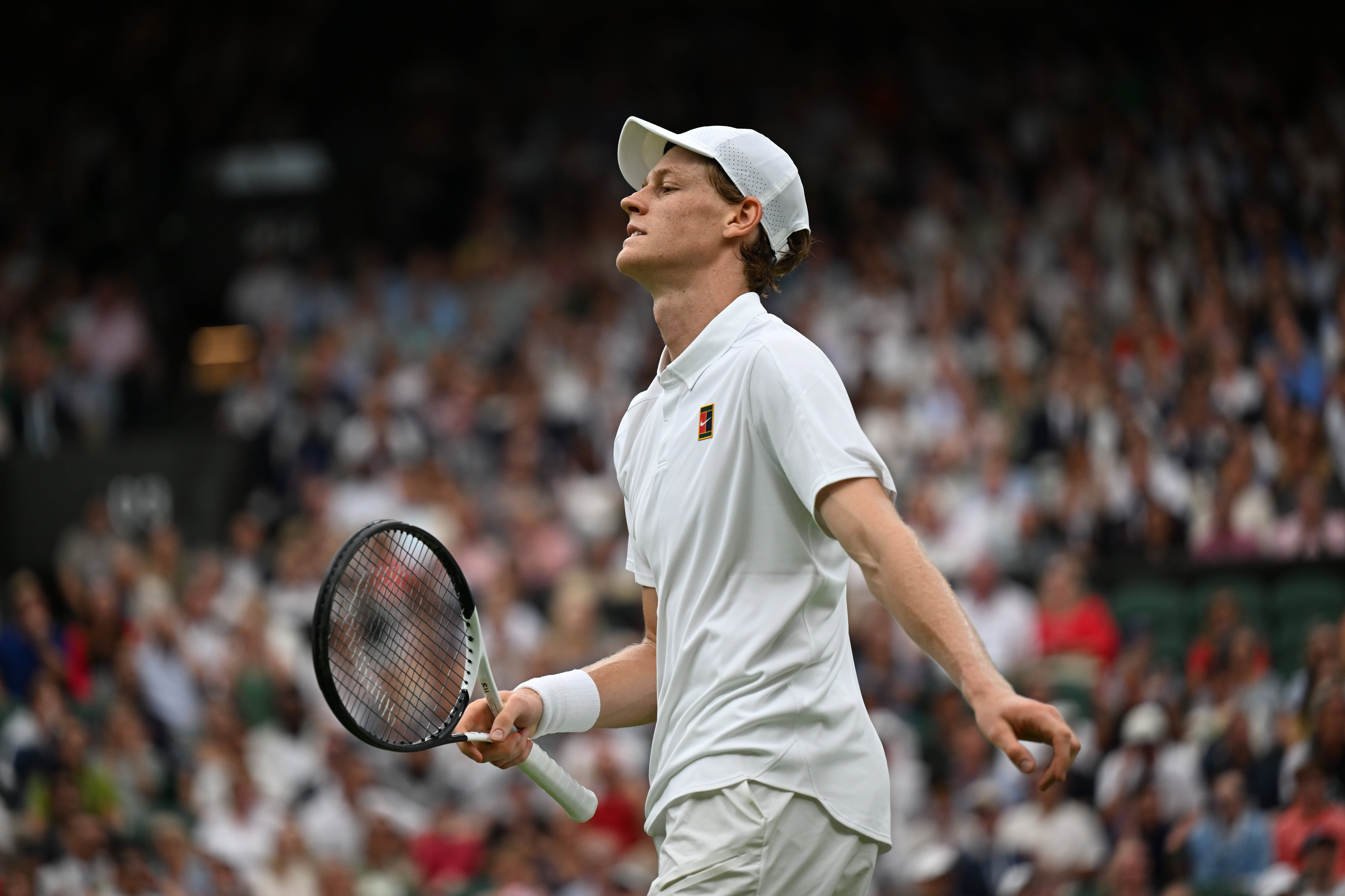 温网绝杀蒙特卡洛大师赛，辛纳高光表现