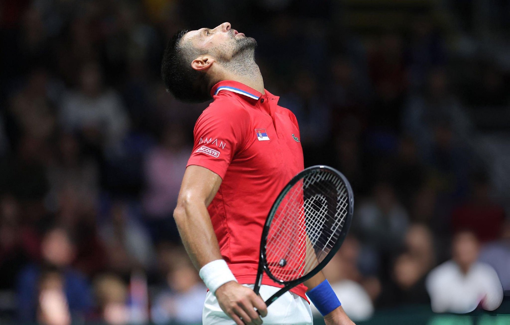 美网逆转戴维斯杯，德约科维奇关键制胜