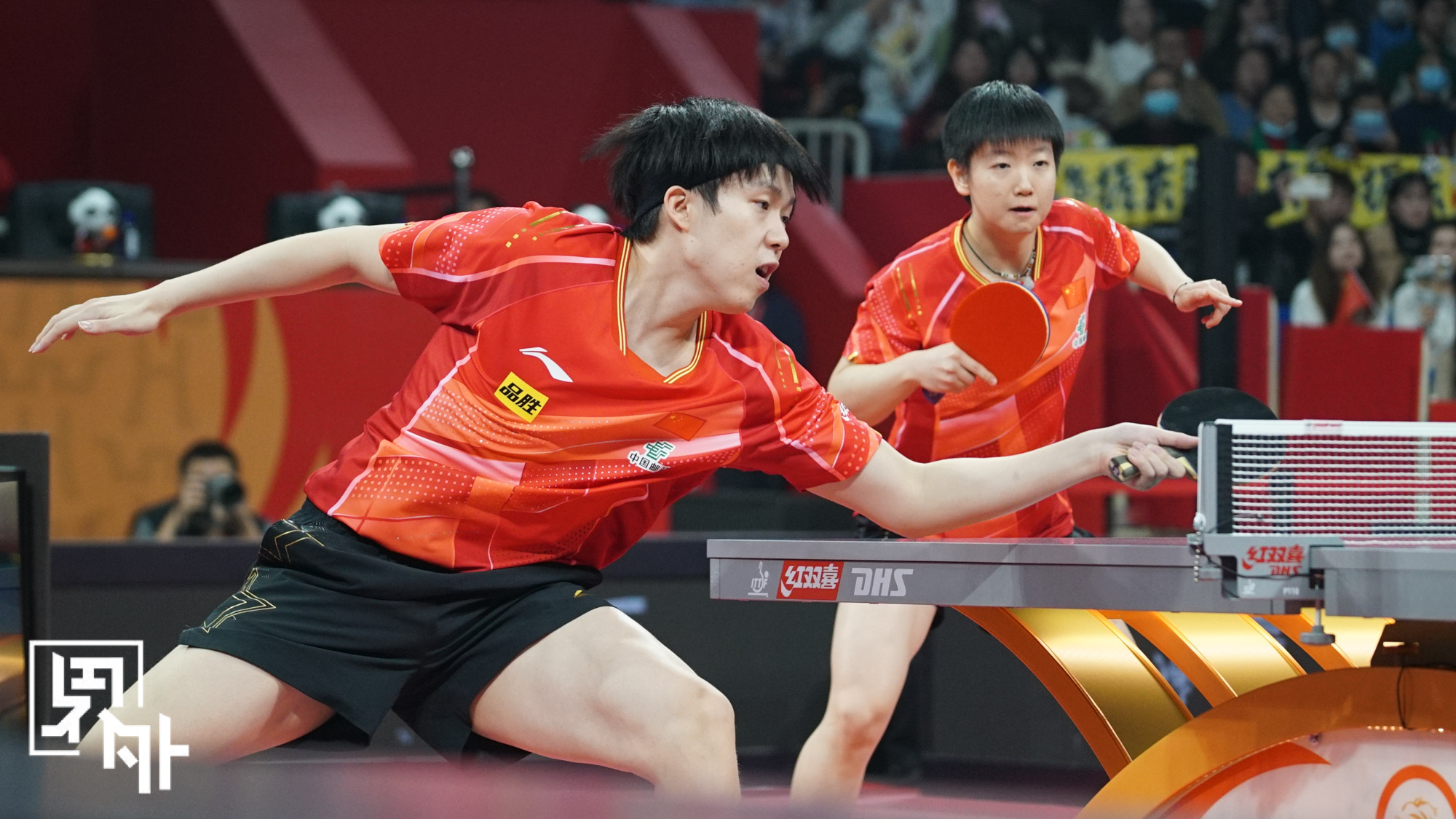 比利时乒乓球队完胜德国乒乓球队，许昕制霸全场