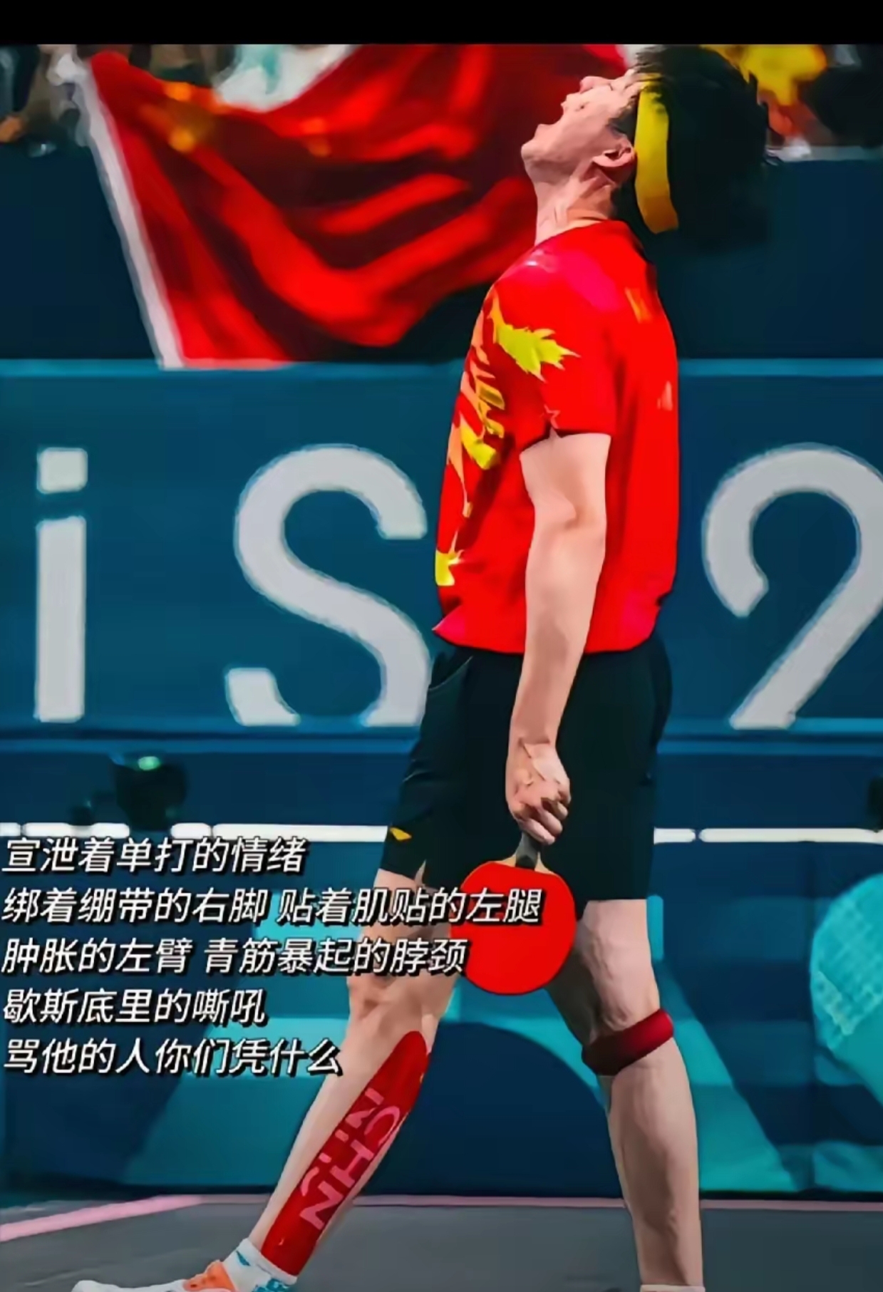 ATP总决赛横扫戴维斯杯，穆雷刷新纪录