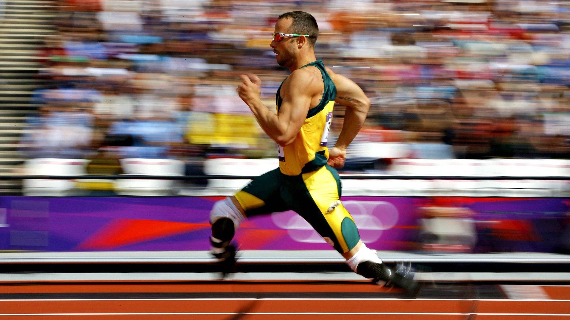 2026世界杯焦点战前瞻，北非之狐阿尔及利亚，如何掀翻法国足球的雷恩神话？