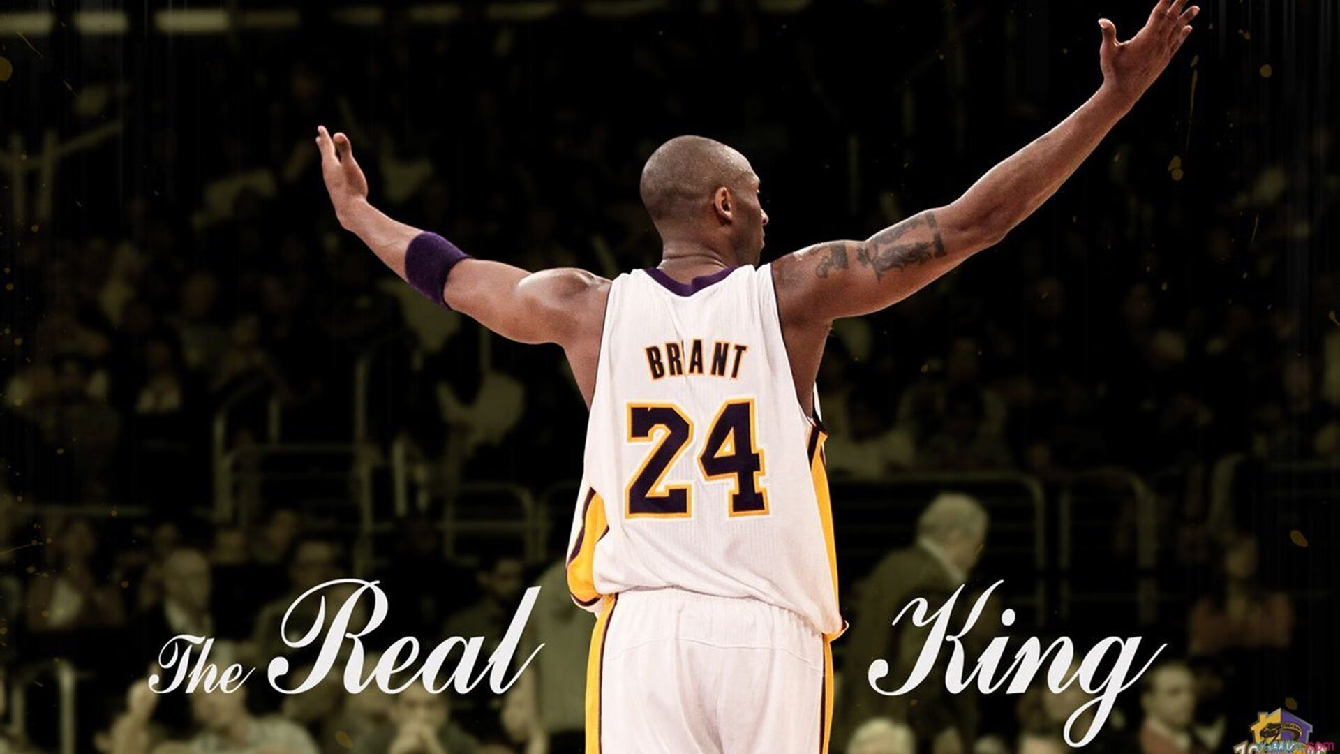 开云足球直播-赛道与球场，东契奇F1首秀称王，广厦生死战绝境逢生